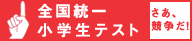全国統一小学生テスト