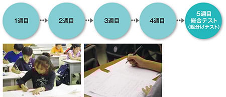 組分けテストの図とイメージ