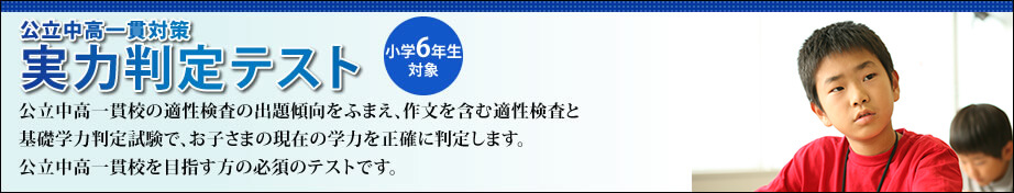 公立中高一貫実力判定テスト