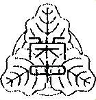 埼玉栄中学校