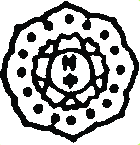 文教大学付属中学校