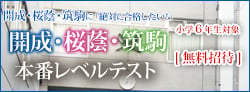 開成桜蔭本番レベルテスト