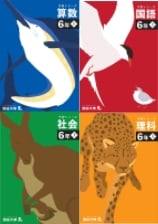 予習シリーズ 6年 上・下
