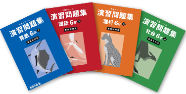 入試実戦問題集(難関校対策)