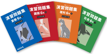 入試実戦問題集(有名校対策)