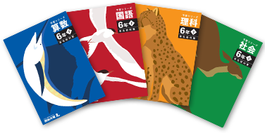 予習シリーズ6年下(有名校対策)