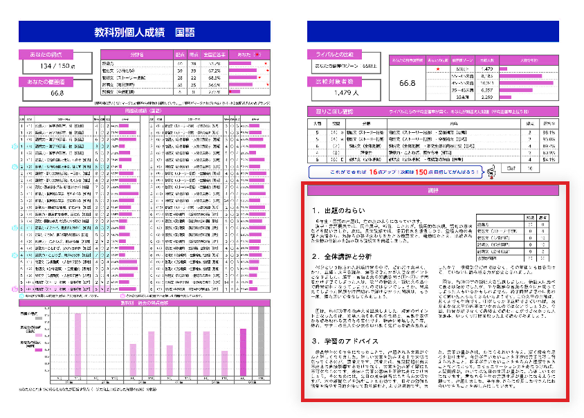 講評