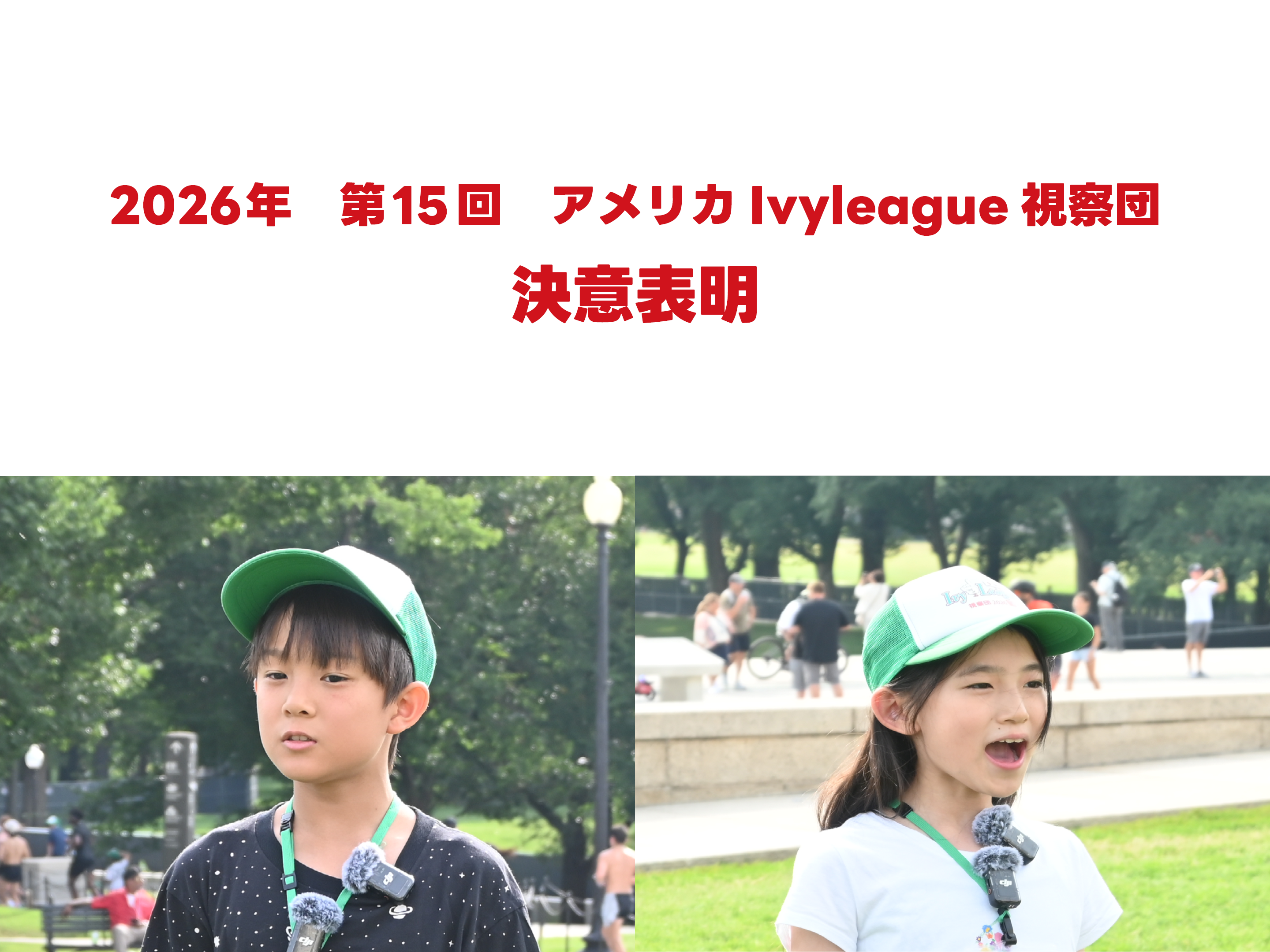 大きな写真