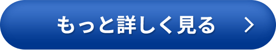 もっと詳しく見る